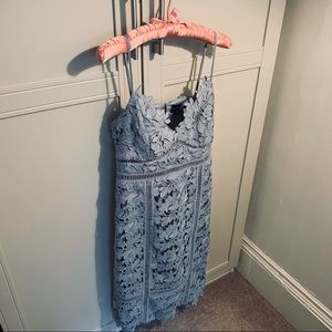 Bardot Botanica Lace Dress